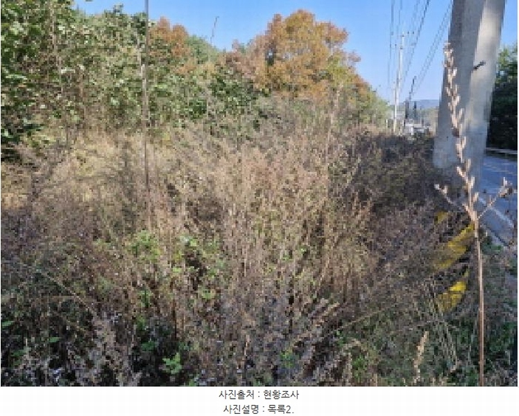 2025타경50981 경기도 안산시 단원구 대부남동 329-8 근린시설 경매 이미지