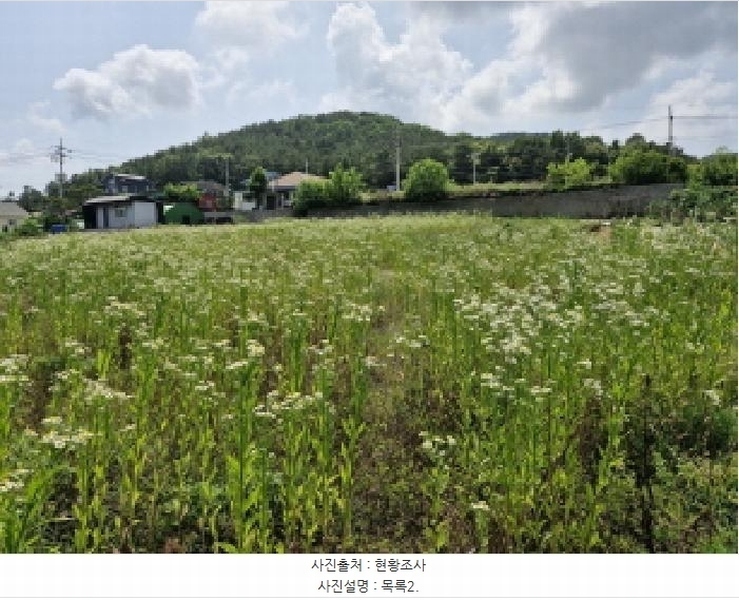 2025타경52556 경기도 안산시 단원구 대부동동 34-2 농지 경매 이미지