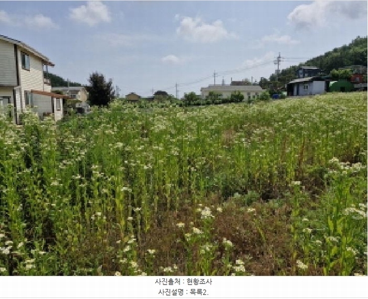 2025타경52556 경기도 안산시 단원구 대부동동 34-2 농지 경매 이미지