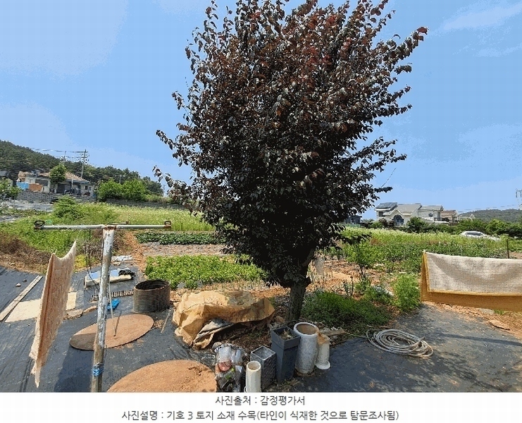 2025타경52556 경기도 안산시 단원구 대부동동 34-2 농지 경매 이미지