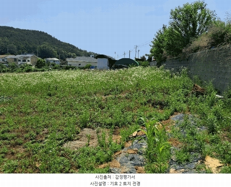 2025타경52556 경기도 안산시 단원구 대부동동 34-2 농지 경매 이미지