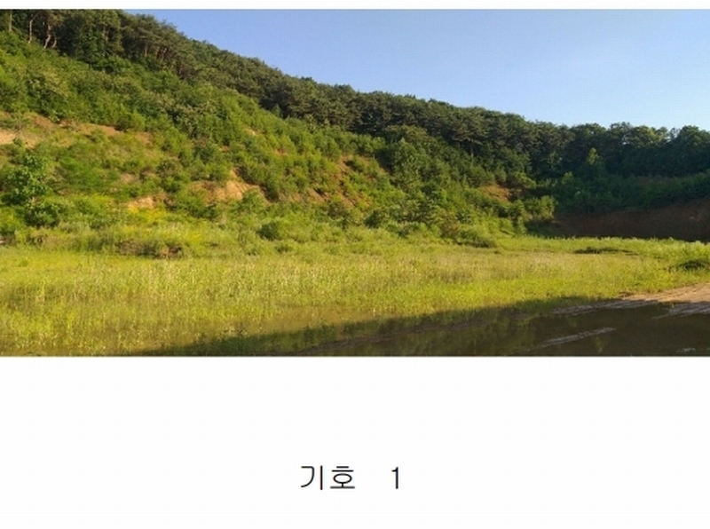 2025타경139 충청북도 보은군 내북면 성티리 198-1 공장 경매 이미지