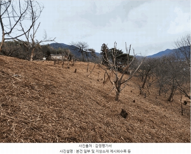 2025타경487 경상남도 하동군 악양면 신흥리 761-3 임야 경매 이미지