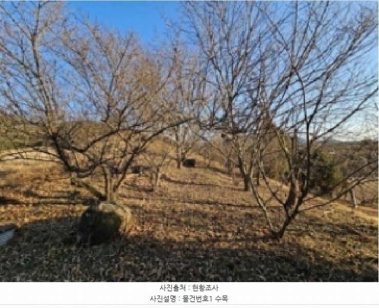 2025타경487 경상남도 하동군 악양면 신흥리 761-3 임야 경매 이미지