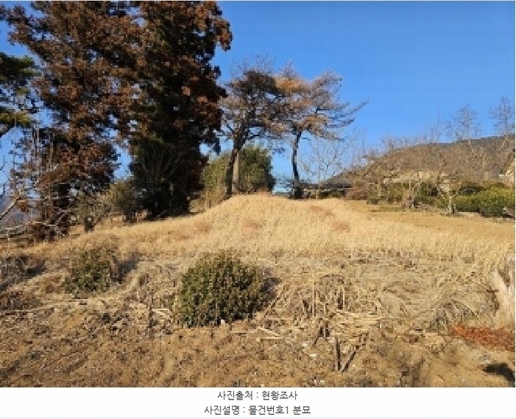 2025타경487 경상남도 하동군 악양면 신흥리 761-3 임야 경매 이미지
