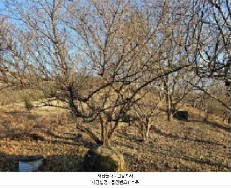 2025타경487 경상남도 하동군 악양면 신흥리 761-3 임야 경매 이미지