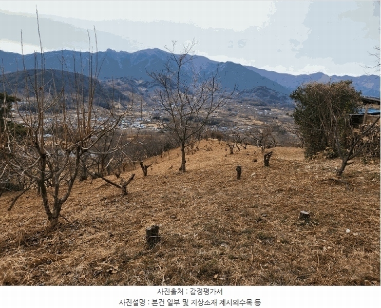 2025타경487 경상남도 하동군 악양면 신흥리 761-3 임야 경매 이미지