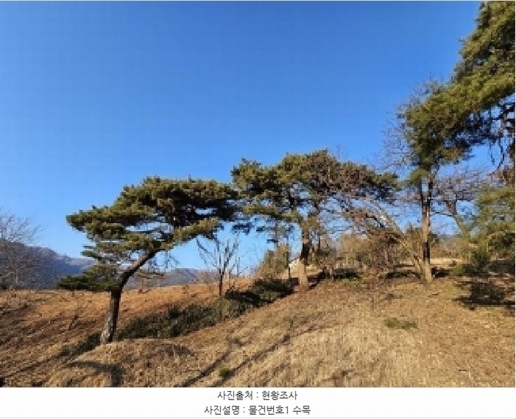 2025타경487 경상남도 하동군 악양면 신흥리 761-3 임야 경매 이미지