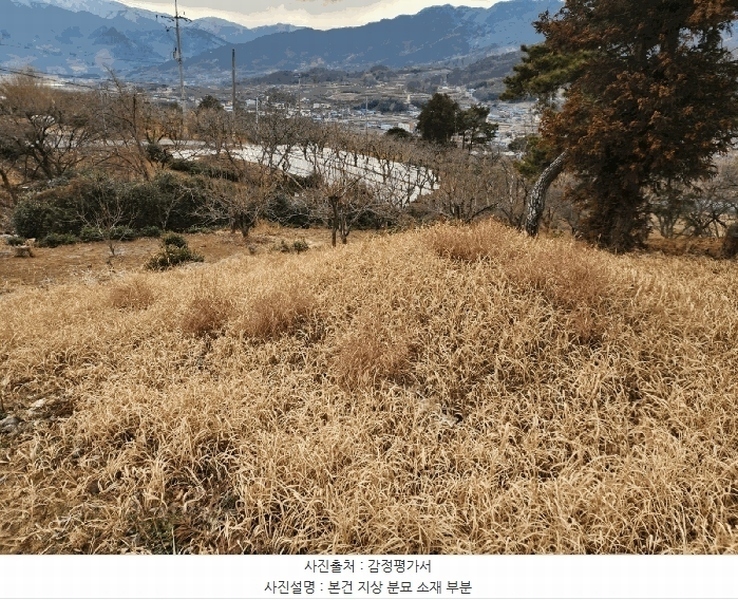 2025타경487 경상남도 하동군 악양면 신흥리 761-3 임야 경매 이미지