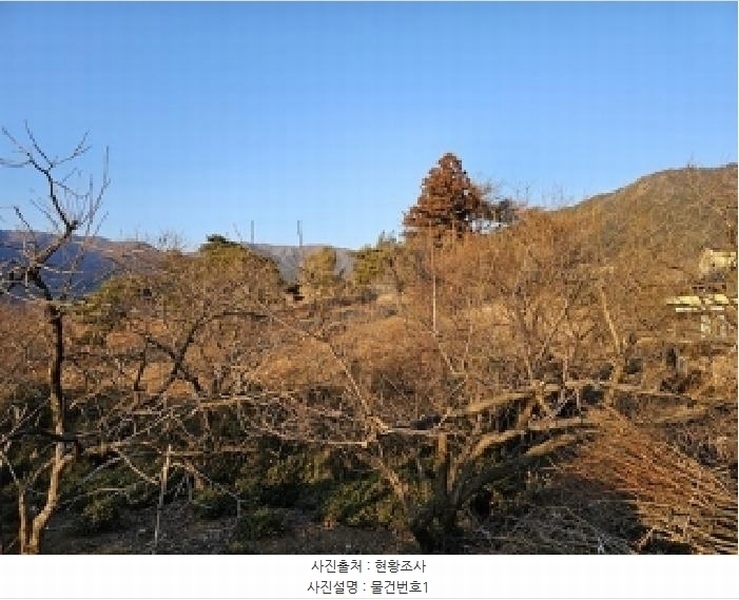 2025타경487 경상남도 하동군 악양면 신흥리 761-3 임야 경매 이미지
