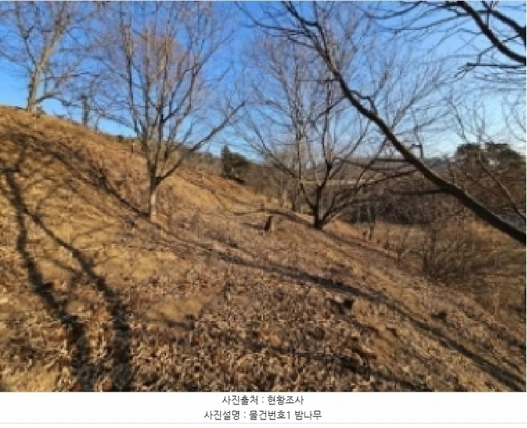 2025타경487 경상남도 하동군 악양면 신흥리 761-3 임야 경매 이미지