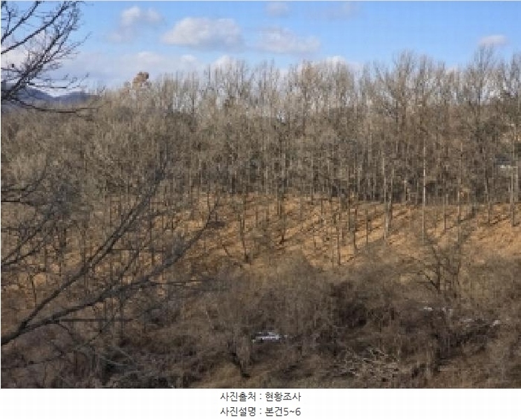 2025타경50523 충청북도 보은군 수한면 질신리 102 농지 경매 이미지