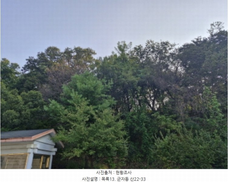 2024타경60431 경기도 시흥시 군자동 1-5 종교시설 경매 이미지