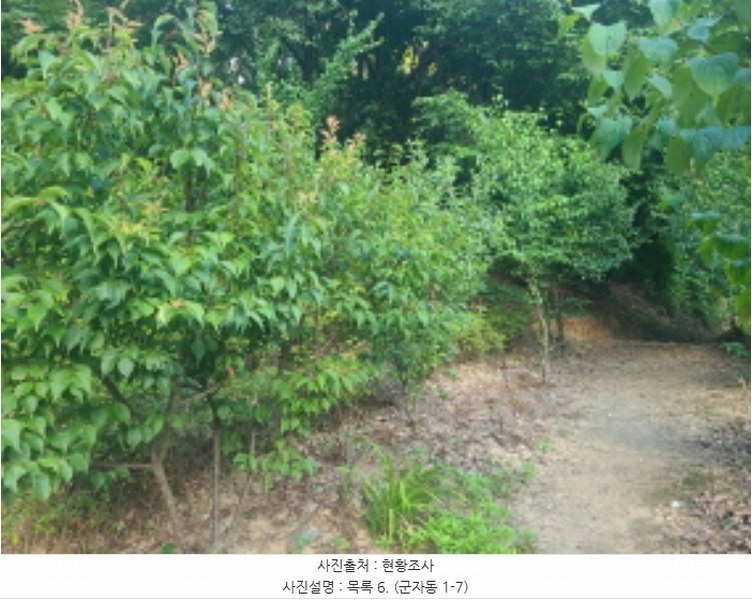 2024타경60431 경기도 시흥시 군자동 1-5 종교시설 경매 이미지