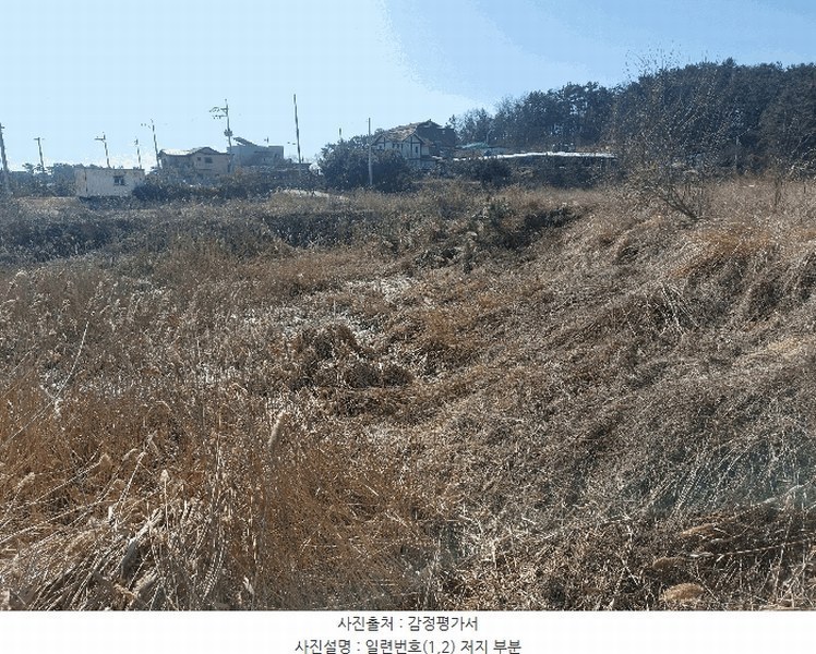 2024타경69421 경기도 안산시 단원구 대부남동 189-3 양어장(축양,양식) 경매 이미지
