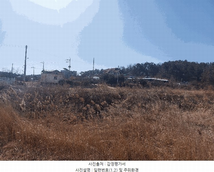 2024타경69421 경기도 안산시 단원구 대부남동 189-3 양어장(축양,양식) 경매 이미지