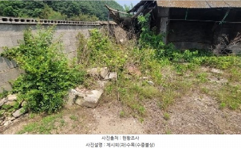 2025타경214 경상남도 의령군 궁류면 평촌리 445 주택 경매 이미지