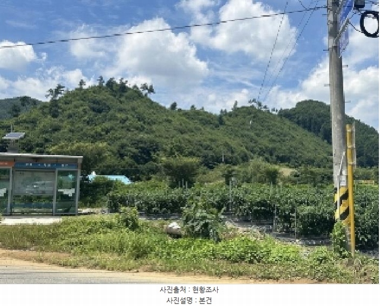 2025타경51434 충청북도 괴산군 청안면 백봉리 산38-1 임야 경매 이미지