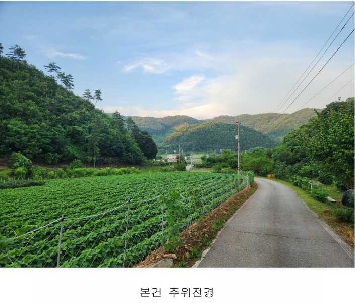2025타경51434 충청북도 괴산군 청안면 백봉리 산38-1 임야 경매 이미지