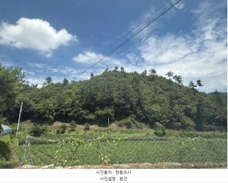 2025타경51434 충청북도 괴산군 청안면 백봉리 산38-1 임야 경매 이미지
