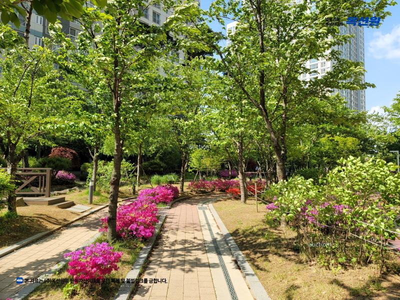 2025타경52258 경기도 시흥시 배곧1로 27-15, 한라비발디캠퍼스 105동 33층 3301호 아파트[공급35평형] 경매 이미지