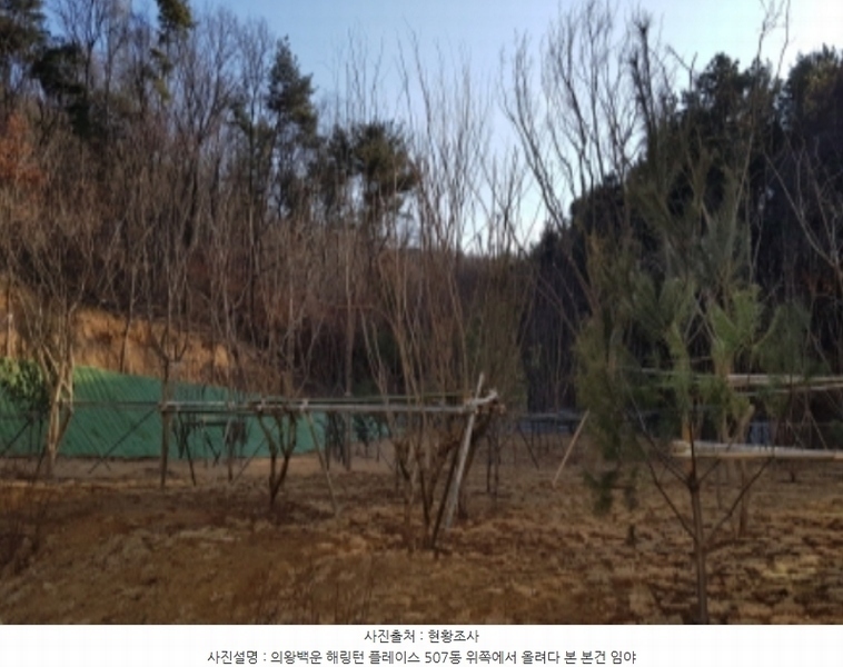 2019타경37 경기도 의왕시 학의동 산115 임야 경매 이미지
