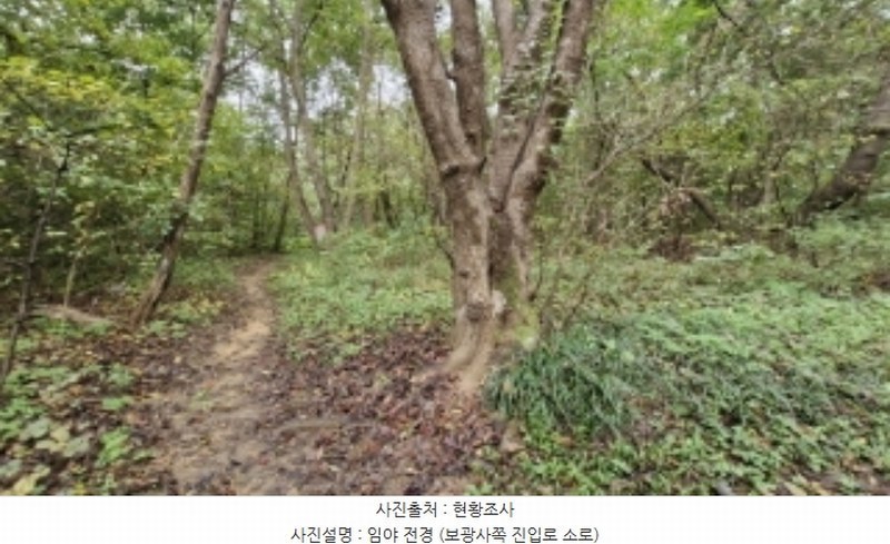 2024타경108539 경기도 과천시 갈현동 산126-2 임야 경매 이미지
