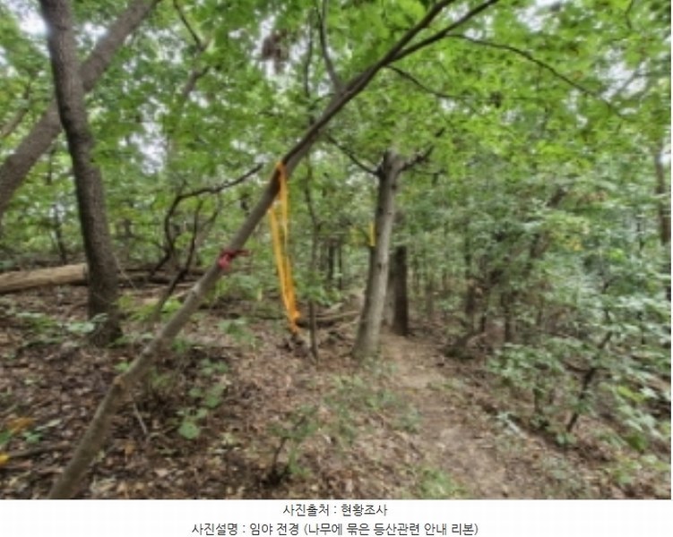 2024타경108539 경기도 과천시 갈현동 산126-2 임야 경매 이미지