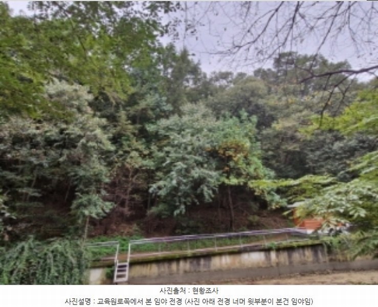 2024타경108539 경기도 과천시 갈현동 산126-2 임야 경매 이미지