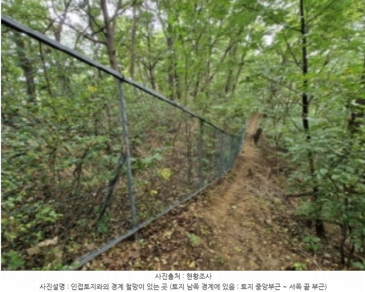 2024타경108539 경기도 과천시 갈현동 산126-2 임야 경매 이미지