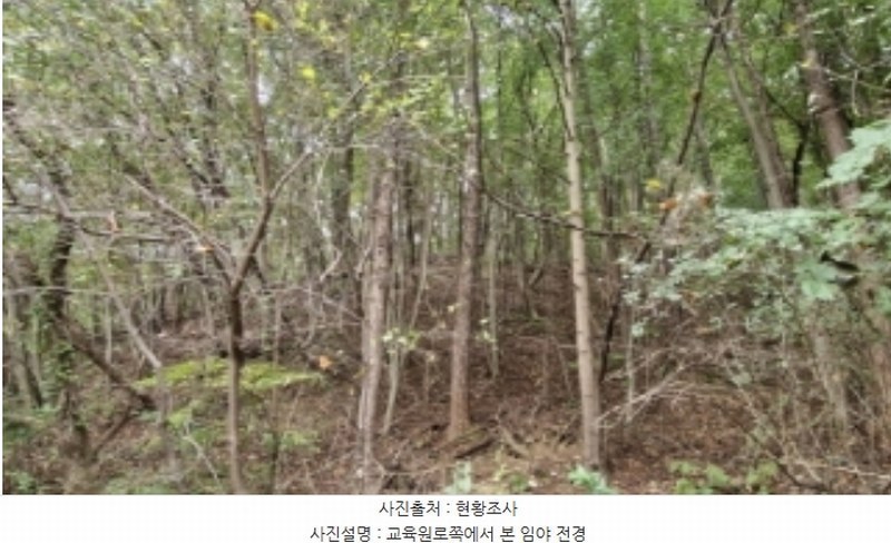 2024타경108539 경기도 과천시 갈현동 산126-2 임야 경매 이미지