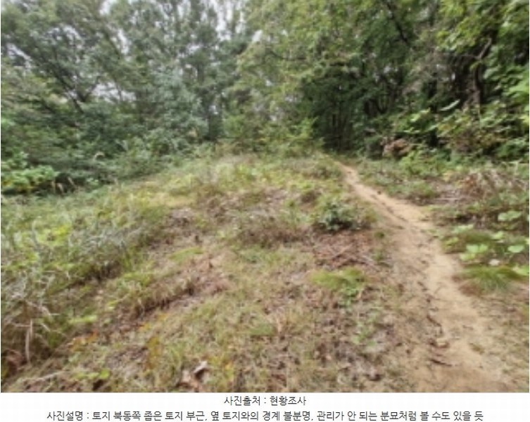 2024타경108539 경기도 과천시 갈현동 산126-2 임야 경매 이미지