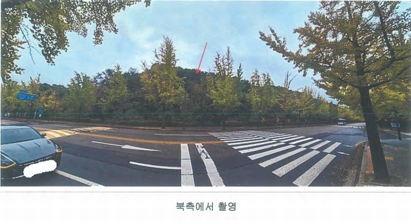 2024타경108539 경기도 과천시 갈현동 산126-2 임야 경매 이미지