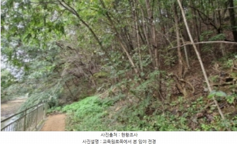 2024타경108539 경기도 과천시 갈현동 산126-2 임야 경매 이미지