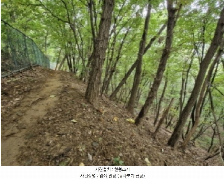 2024타경108539 경기도 과천시 갈현동 산126-2 임야 경매 이미지