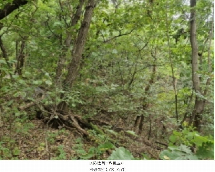 2024타경108539 경기도 과천시 갈현동 산126-2 임야 경매 이미지