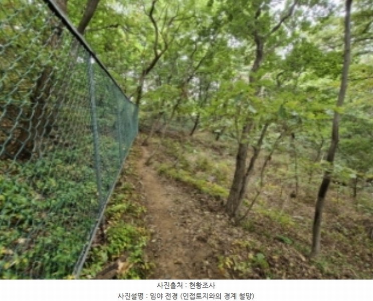 2024타경108539 경기도 과천시 갈현동 산126-2 임야 경매 이미지