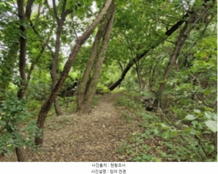 2024타경108539 경기도 과천시 갈현동 산126-2 임야 경매 이미지