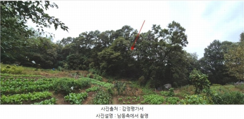 2024타경108539 경기도 과천시 갈현동 산126-2 임야 경매 이미지