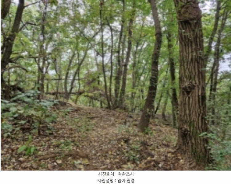 2024타경108539 경기도 과천시 갈현동 산126-2 임야 경매 이미지