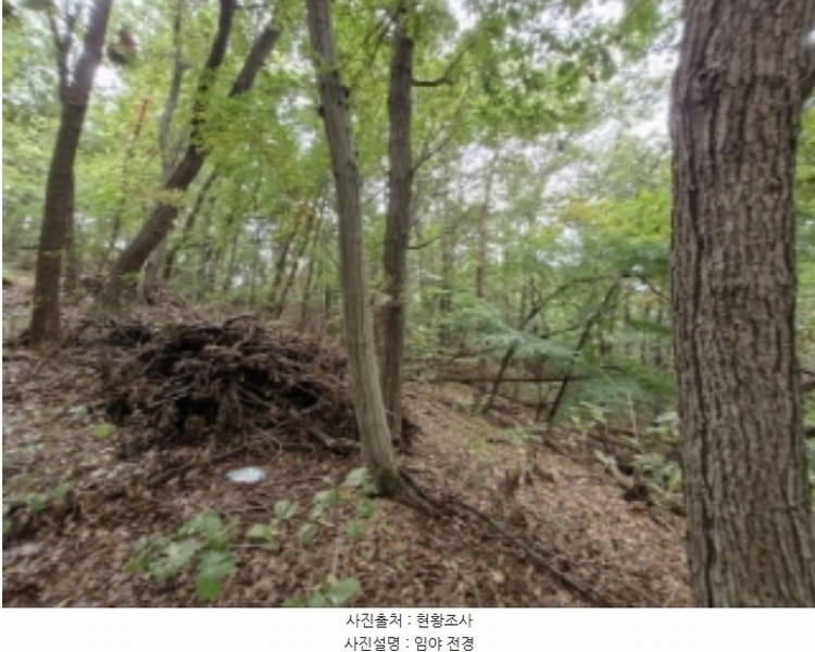 2024타경108539 경기도 과천시 갈현동 산126-2 임야 경매 이미지