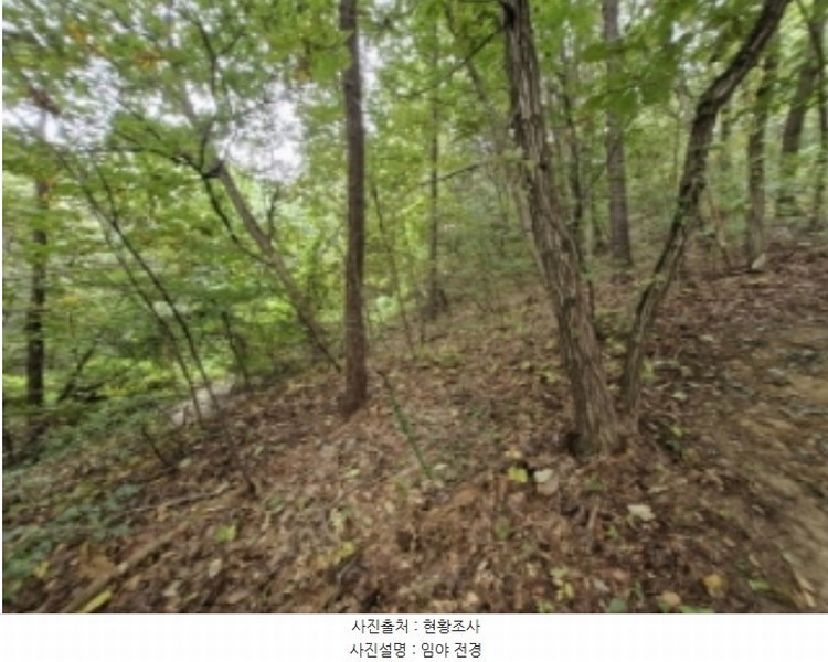 2024타경108539 경기도 과천시 갈현동 산126-2 임야 경매 이미지