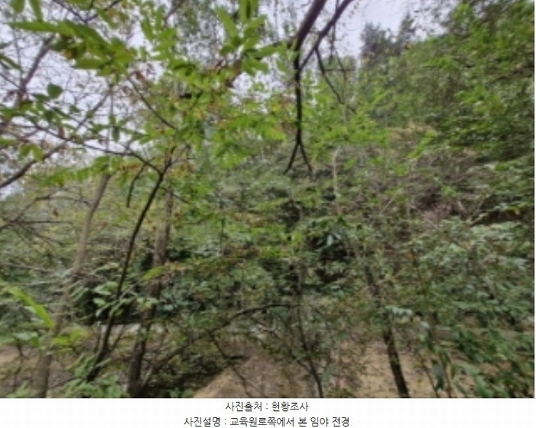 2024타경108539 경기도 과천시 갈현동 산126-2 임야 경매 이미지