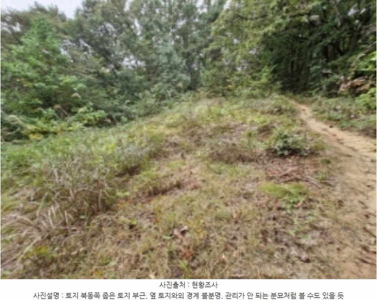 2024타경108539 경기도 과천시 갈현동 산126-2 임야 경매 이미지