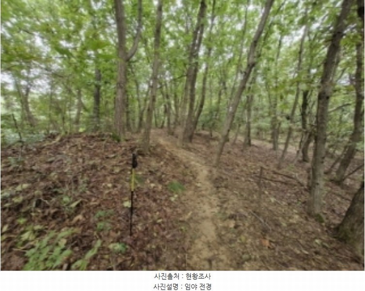 2024타경108539 경기도 과천시 갈현동 산126-2 임야 경매 이미지