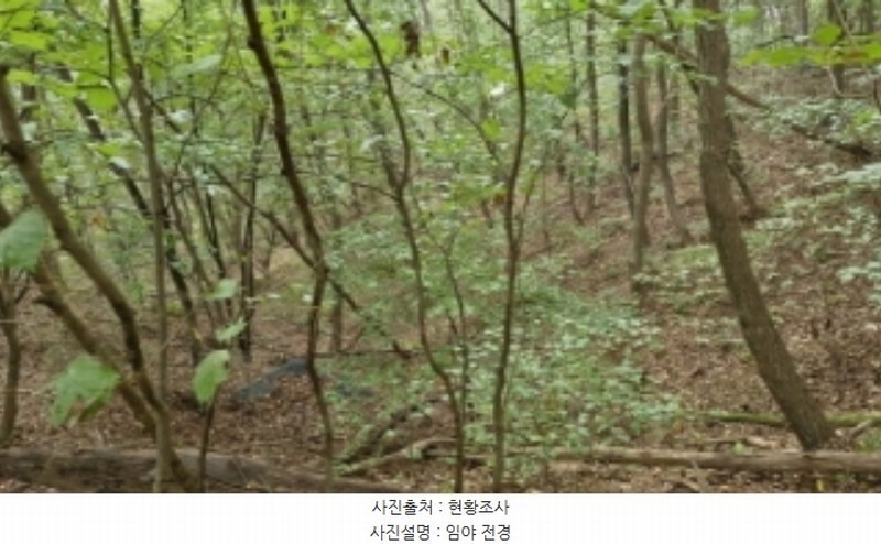 2024타경108539 경기도 과천시 갈현동 산126-2 임야 경매 이미지
