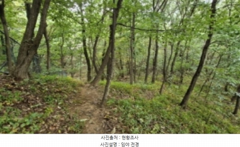 2024타경108539 경기도 과천시 갈현동 산126-2 임야 경매 이미지
