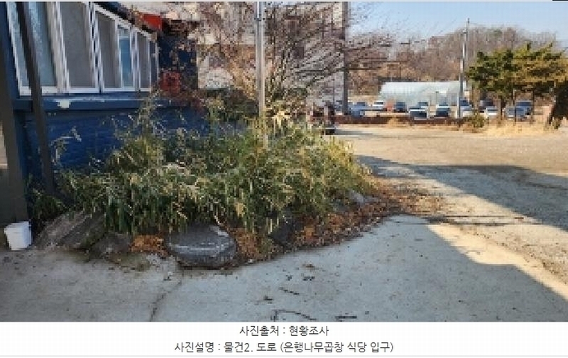 2025타경100774 경기도 과천시 주암동 18-1 도로 경매 이미지