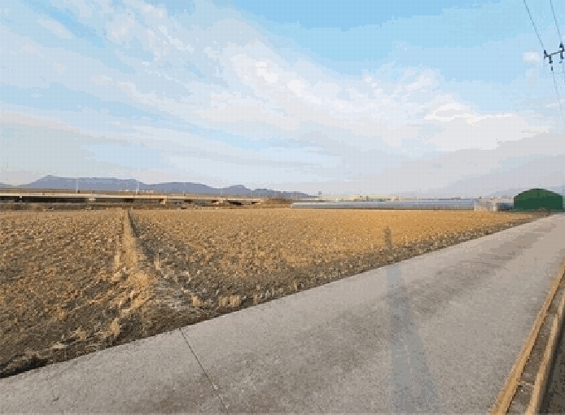 2025타경595 부산광역시 강서구 식만동 468 농지 경매 이미지