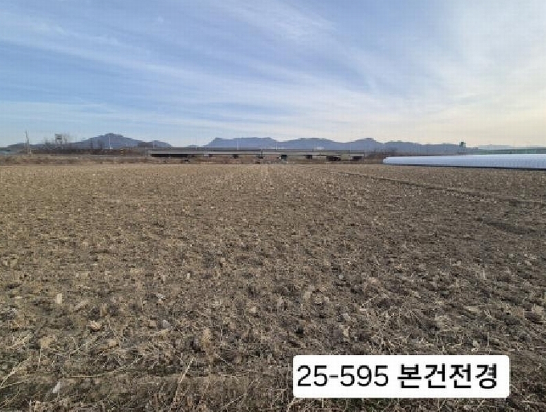 2025타경595 부산광역시 강서구 식만동 468 농지 경매 이미지